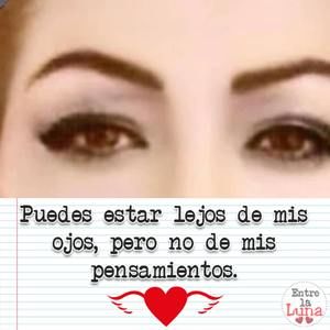 Meet your Posher, Celina